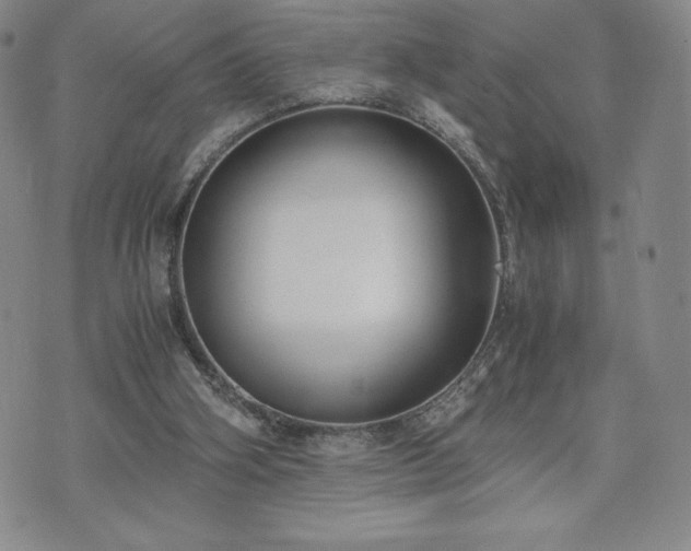 X0000073450106200608041037