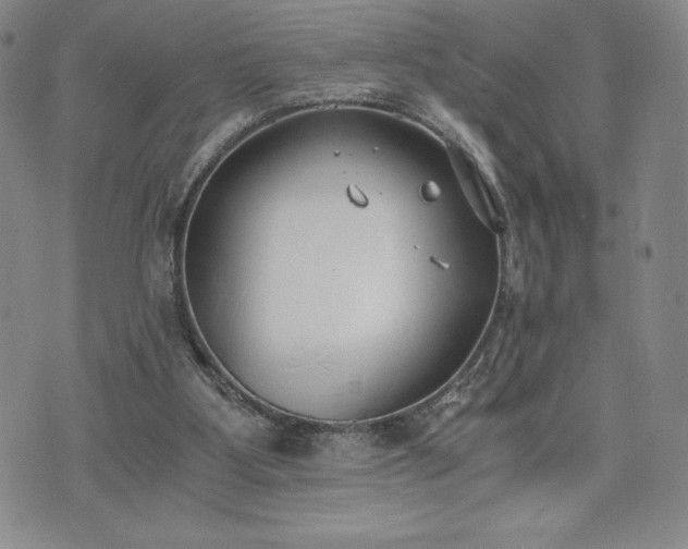 X0000073450107200608041037