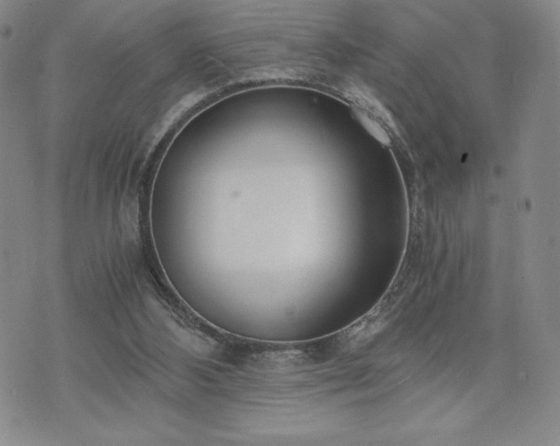 X0000073450108200608041037