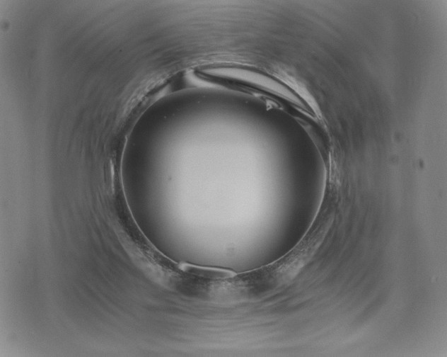 X0000073450109200608041037