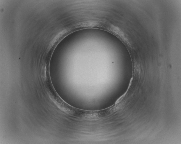 X0000073450110200608041037