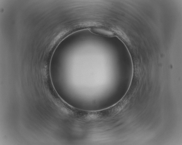 X0000073450111200608041037