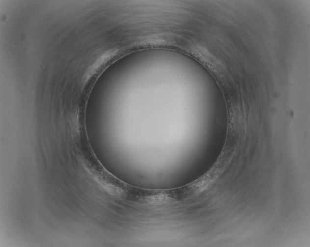 X0000073450112200608041037