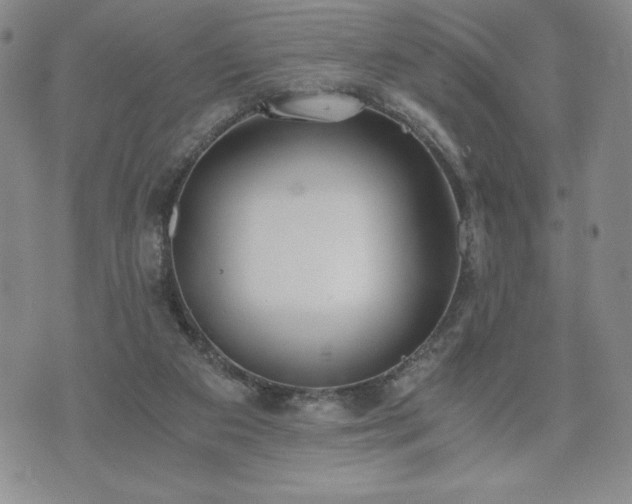 X0000073450113200608041037