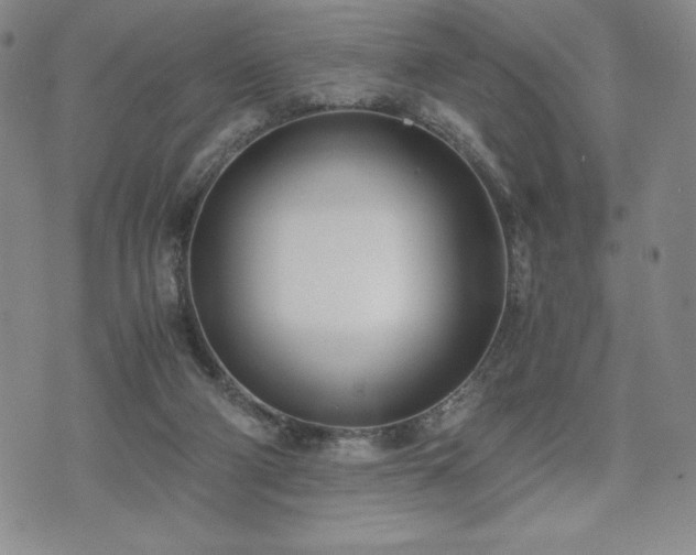 X0000073450114200608041037