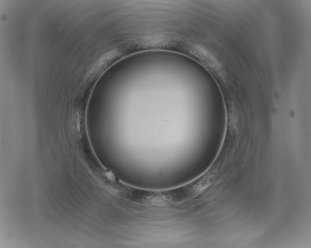 X0000073450115200608041037