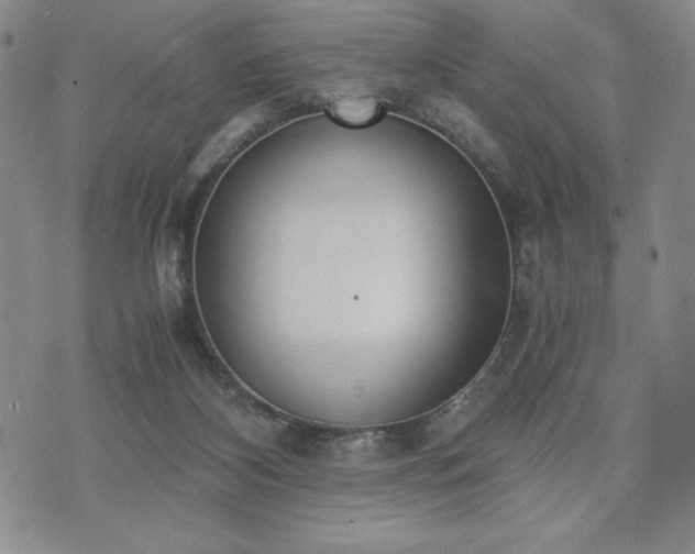 X0000073450116200608041037