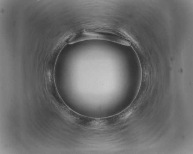 X0000073450117200608041037