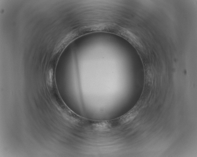 X0000073450118200608041037