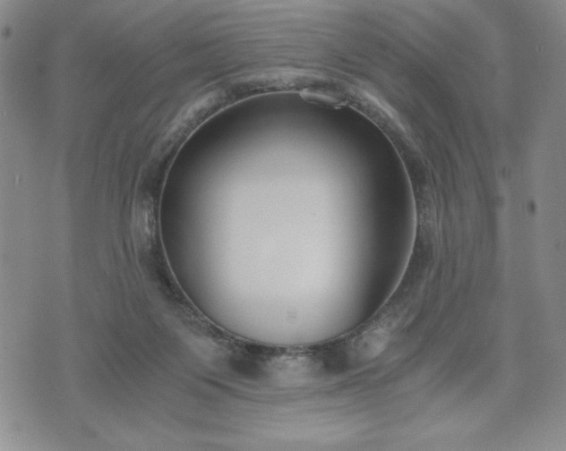 X0000073450119200608041037