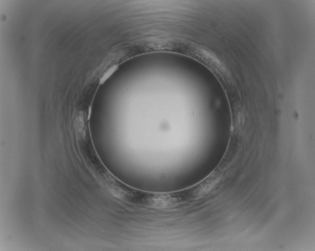 X0000073450121200608041037