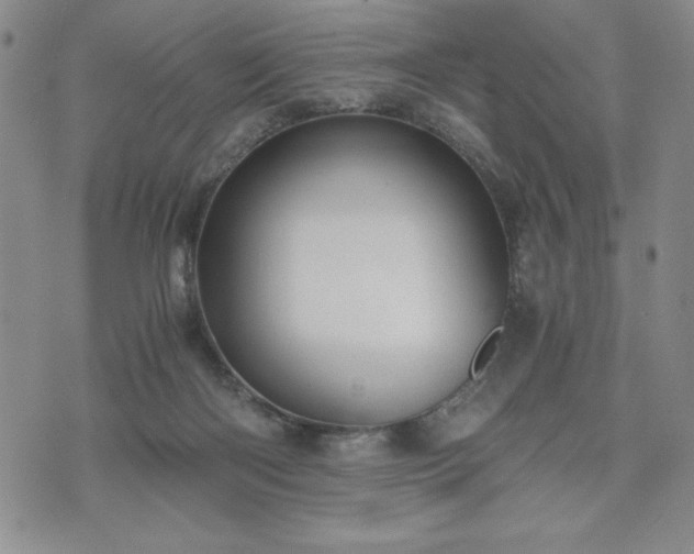 X0000073450122200608041037