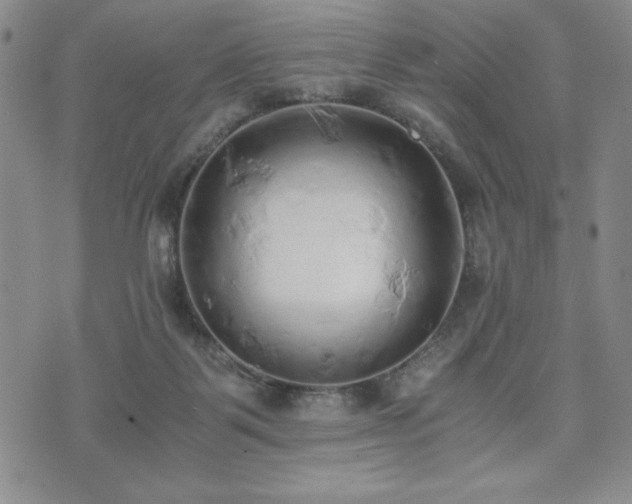 X0000073450123200608041037