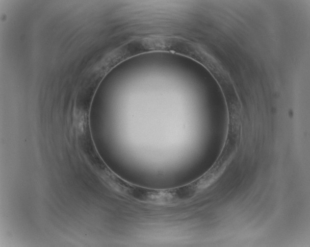 X0000073450125200608041037