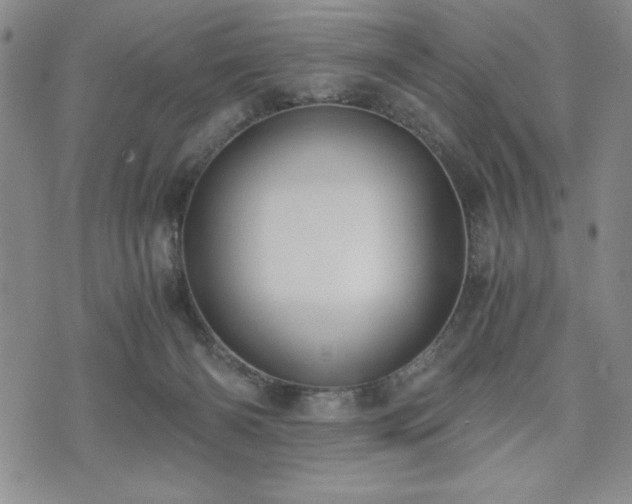 X0000073450126200608041037