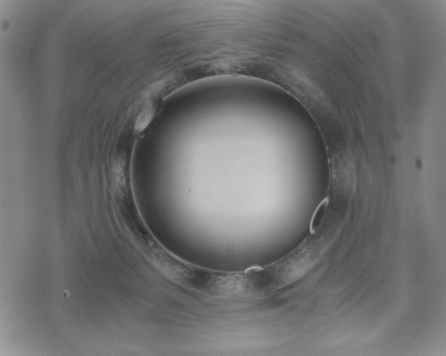 X0000073450127200608041037