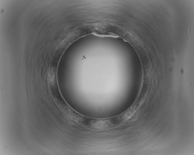 X0000073450129200608041037