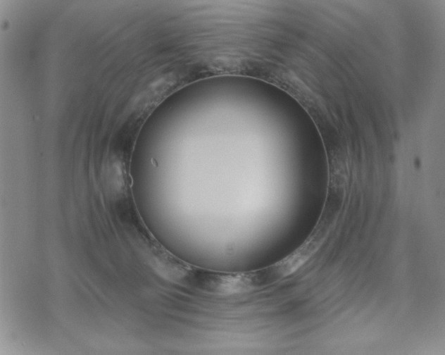 X0000073450130200608041037