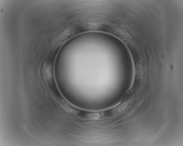 X0000073450131200608041037