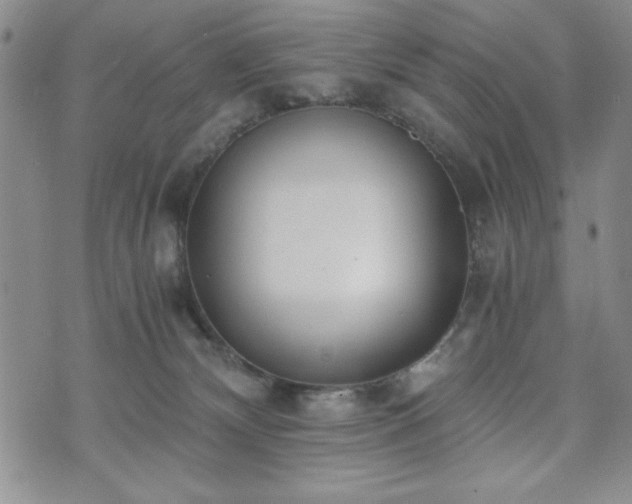 X0000073450132200608041037