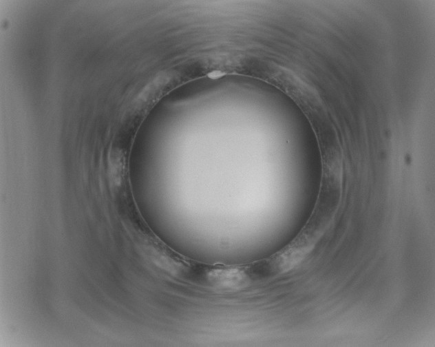 X0000073450133200608041037