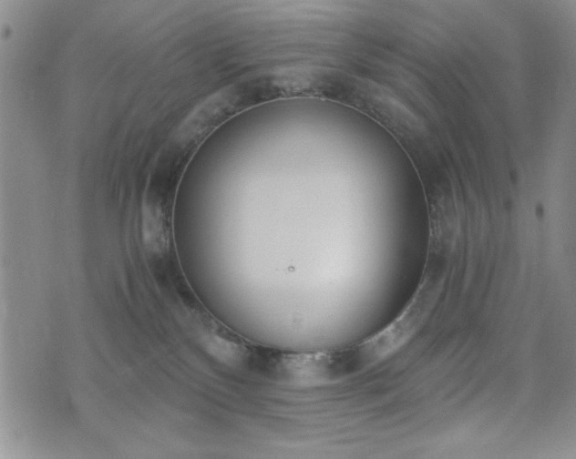 X0000073450136200608041037