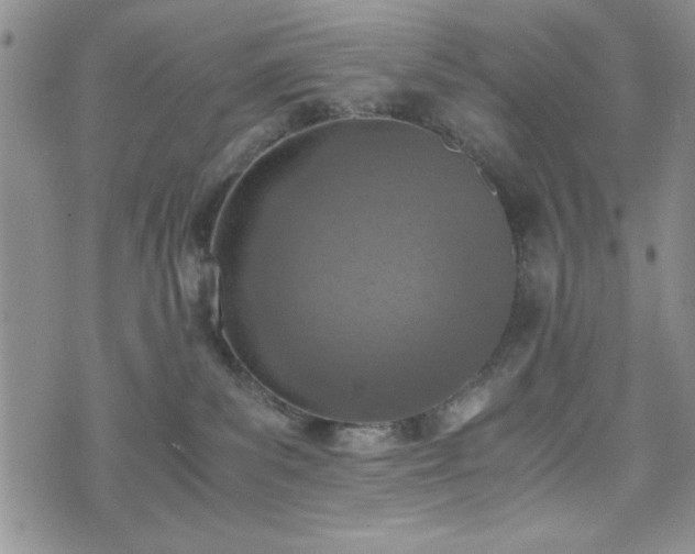 X0000073450139200608041037