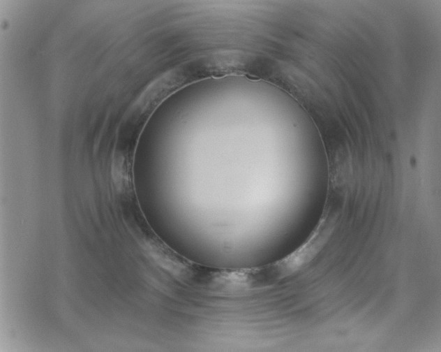 X0000073450140200608041037