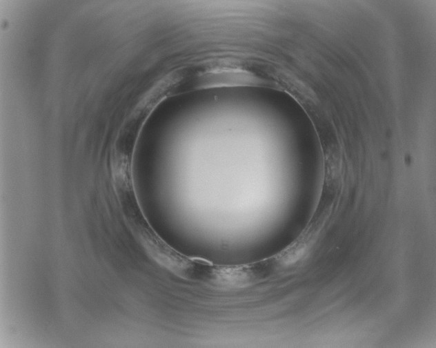 X0000073450141200608041037