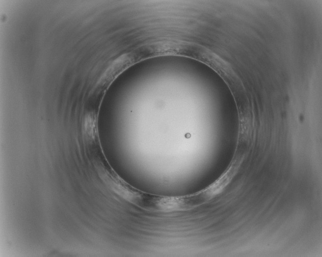 X0000073450142200608041037