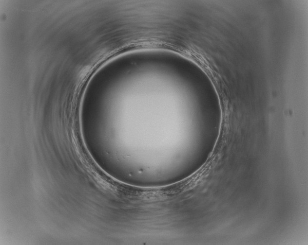 X0000073450145200608041036