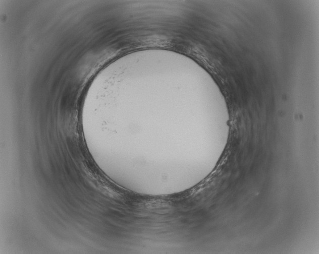 X0000073450146200608041036