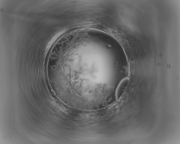 X0000073450147200608041036