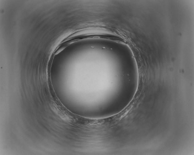 X0000073450148200608041036