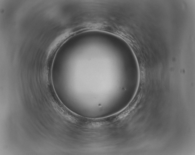 X0000073450149200608041036