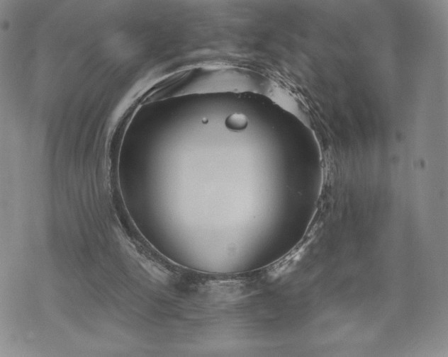 X0000073450150200608041036