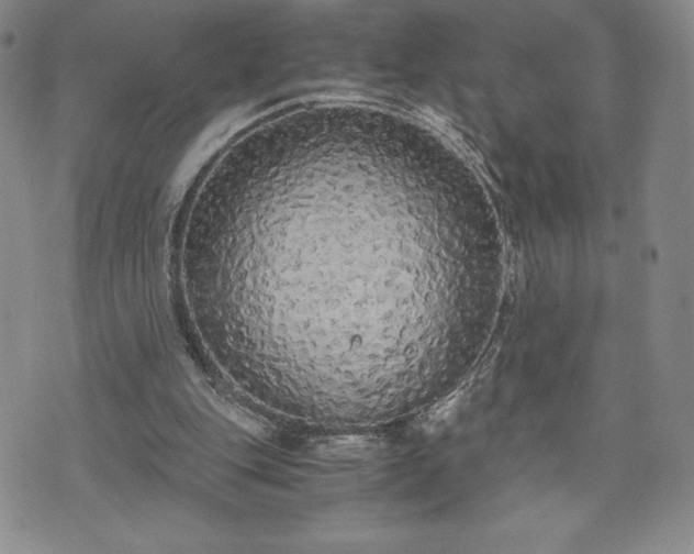 X0000073450151200608041036