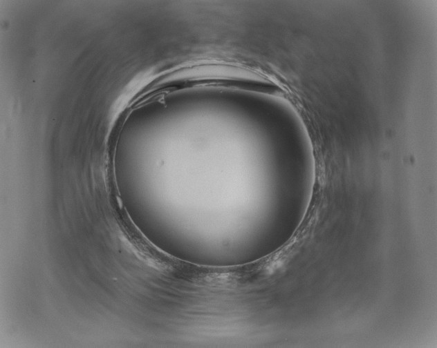 X0000073450152200608041036