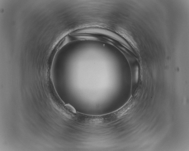 X0000073450156200608041036