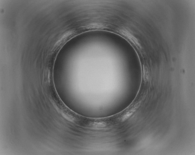 X0000073450157200608041036