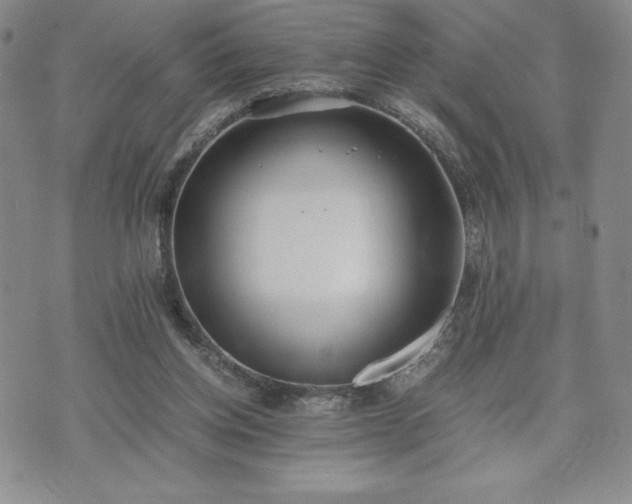 X0000073450158200608041036