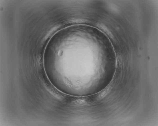 X0000073450159200608041036