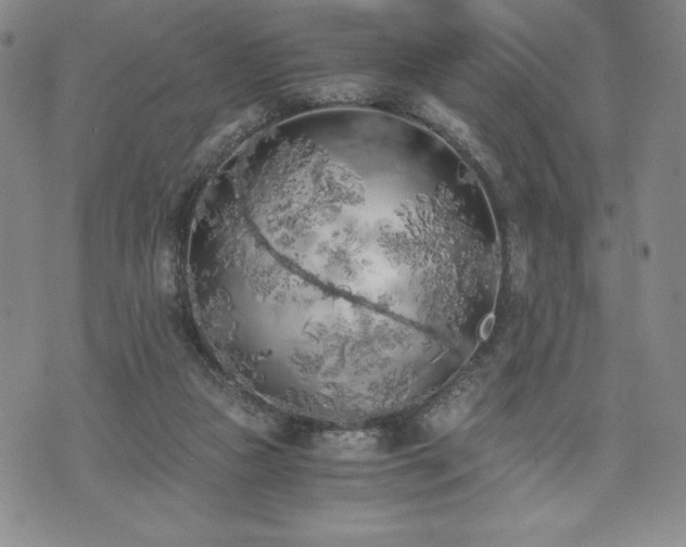 X0000073450161200608041036