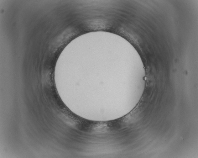 X0000073450162200608041036