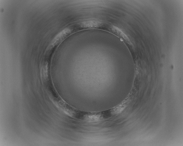 X0000073450163200608041036