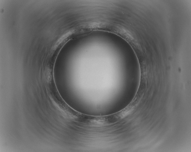 X0000073450164200608041036