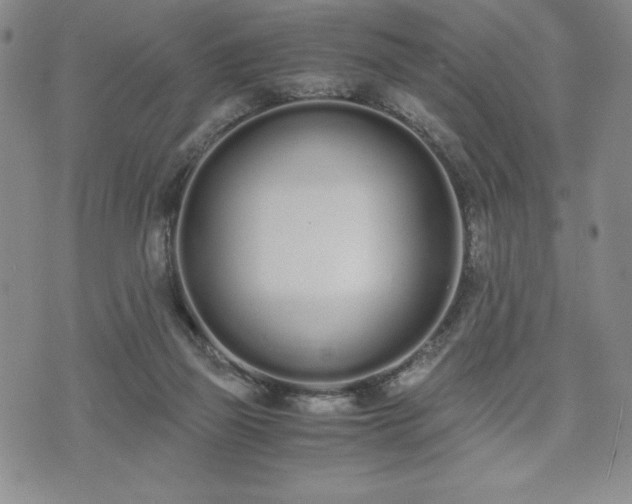 X0000073450165200608041036