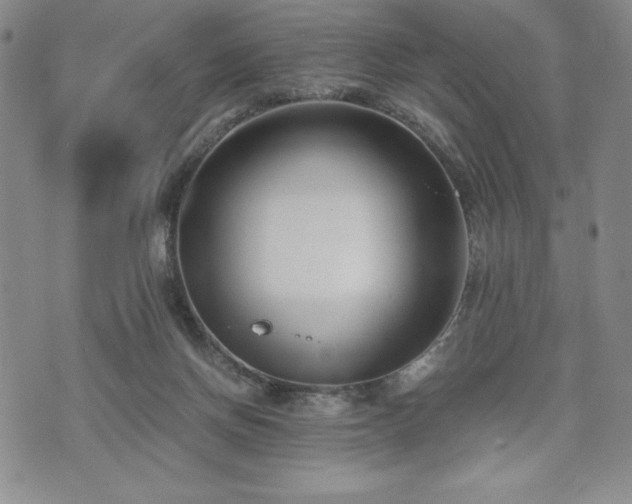 X0000073450166200608041036