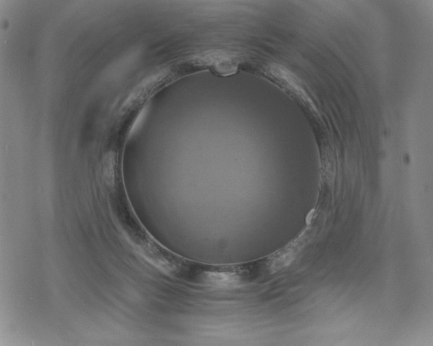 X0000073450167200608041036