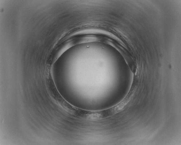 X0000073450168200608041036